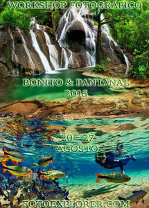 bonito_foto