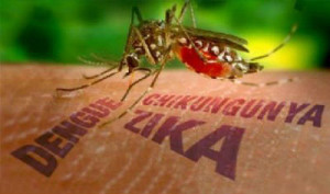 A inclusão dos exames que detectam o Zika devem ocorrer de forma imediata