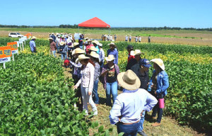O evento foi realizado na fazenda Sanguessuga, atendida pelo programa de assistência técnica Mais Inovação