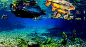 Muitos turistas vão a Bonito para desbravar as águas transparentes