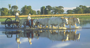O prazo para que os produtores rurais façam o Cadastro Ambiental Rural (CAR) termina em 5 de maio de 2016