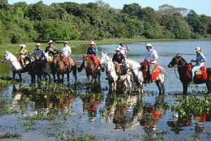 Pantanal atrai turistas em todas as estações do ano