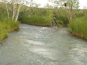 agua_conservaçao
