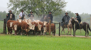 Eles participam até a próxima quarta-feira (20) do Congresso Mundial de Hereford,