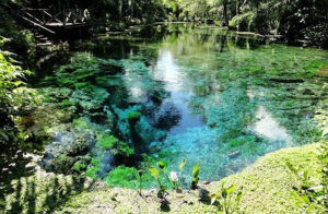 Foto: Divulgação/ Site Oficial da Nascente Azul