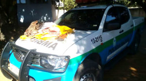 Foi multado em R$ 500 pelo abate do animal