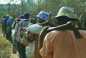 Trabalhadores mantidos em condições análogas as de escravo