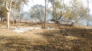 O incêndio foi localizado no Assentamento Tamarindo II