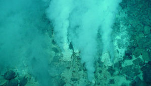 O mais antigo ancestral universal teria vivido em locais quentes e ricos em mineirais, como perto de vulcões submarinos