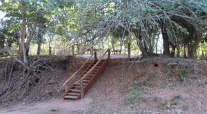 Também responderá por crime ambiental