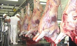 Expectativa para o resto do ano é de aumento das exportações