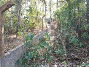 Ele construiu mureta dentro de Área de Preservação Permanente (APP)