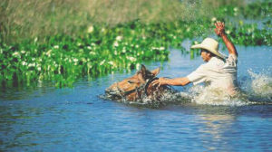 O Pantanal pode acabar sim se não tomarmos providências devidas, disse ministro