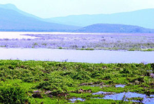 6º aniversário da Unidade de Conservação (Área de Proteção Ambiental – APA) da Baía Negra, na zona rural da cidade