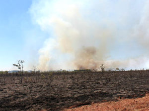 Incêndio já havia destruído vegetação e fogo ainda continuava (Foto: Dyego Queiroz/ TV Morena)