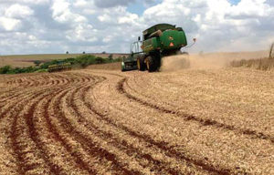 Os eventos têm o objetivo de fortalecer e fomentar o agronegócio do Estado