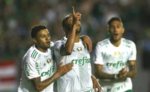 Palmeiras tem quase 80% de chance de ser campeão brasileiro