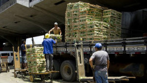 No interior de MS, a mão de obra é intermediada pela Feintramag