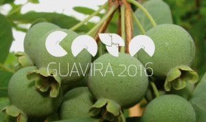 O Cata Guavira 2016 reúne grandes chefs, cozinheiros, produtores, empreendedores e visitantes