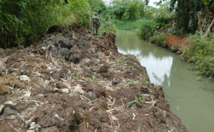 Área degrada é local de proteção ambiental - Foto: Divulgação/PMA