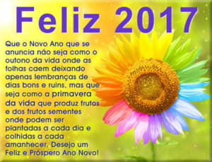 felizanonovo2