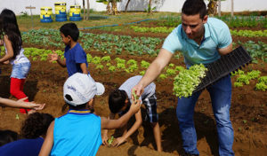 Comunidade pode doar alimentos para contribuir com a atividade