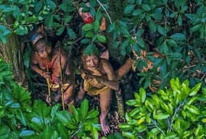 Funai condena divulgação de fotos de tribo indígena isolada do Acre