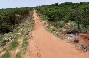 Terreno baldio foi usado como cemitério clandestino (Foto: Valmir Dias/ Divulgação Polícia Civil de MS)