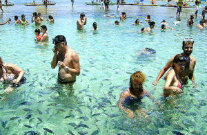 Enormes piscinas formam na maré baixa em Porto de Galinhas (PE). Foto: Divulgação