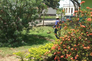 Prédio da Secretaria Municipal de Saúde, Assistência Social e ginásio municipal já passaram por limpeza. Foto: Divulgação