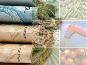 as contratações do crédito rural na atual safra continuam crescendo