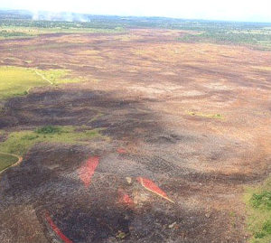 Mais de mil hectares do banhado do rio Formoso foram destruídos pelas chamas. (Foto: Divulgação)