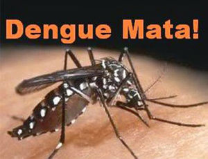 Febre amarela, dengue, zika e chikungunya, sáo doenças provocadas pelo mosquito Aedes aegypt