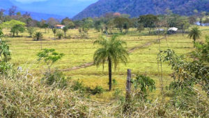 Vão destinar R$ 15,8 milhões para compra de trator agrícola e implementos para 77 assentamentos 