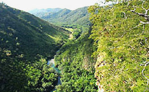 O Código Florestal estabelece que o responsável por propriedade situada em área de preservação permanente deve manter e recompor a vegetação explorada