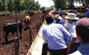 O Confinar está em sua 6ª edição e se consolida como um dos principais do agronegócio brasileiro