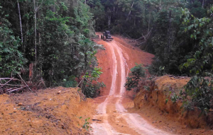 Madeireiros armados e fazendeiros poderosos estão destruindo a floresta dos Kawahiva.