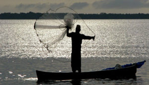 Até o ano que vem, Ministério do Meio Ambiente vai definir regras para pesca sustentável
